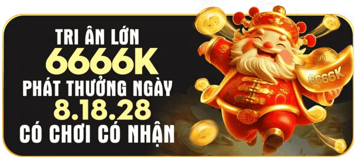 daga5 nền tảng ổn định