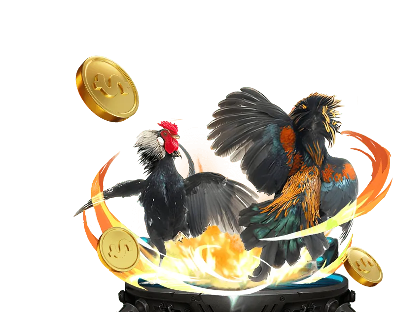 Các biện pháp bảo mật dữ liệu mạnh mẽ của daga5