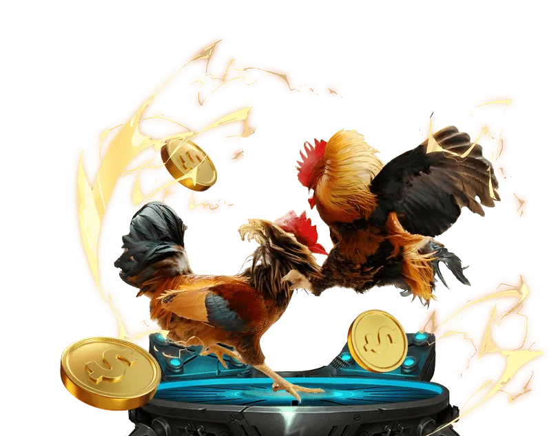 Người dùng tương tác với nền tảng daga5